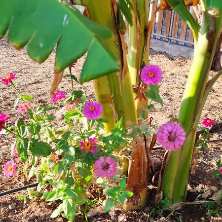 Casita Leos Lejlighed