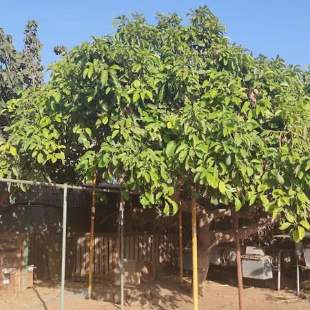 Casita Leos Lejlighed